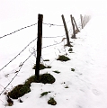paysage 15_01_10n01